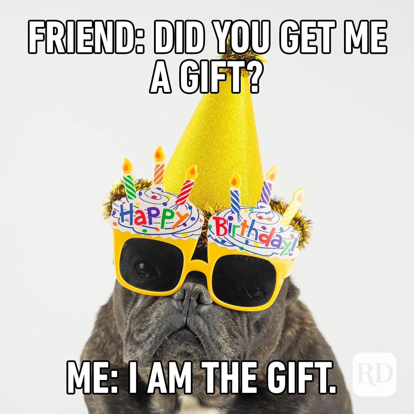 funny happy birthday pictures for friends