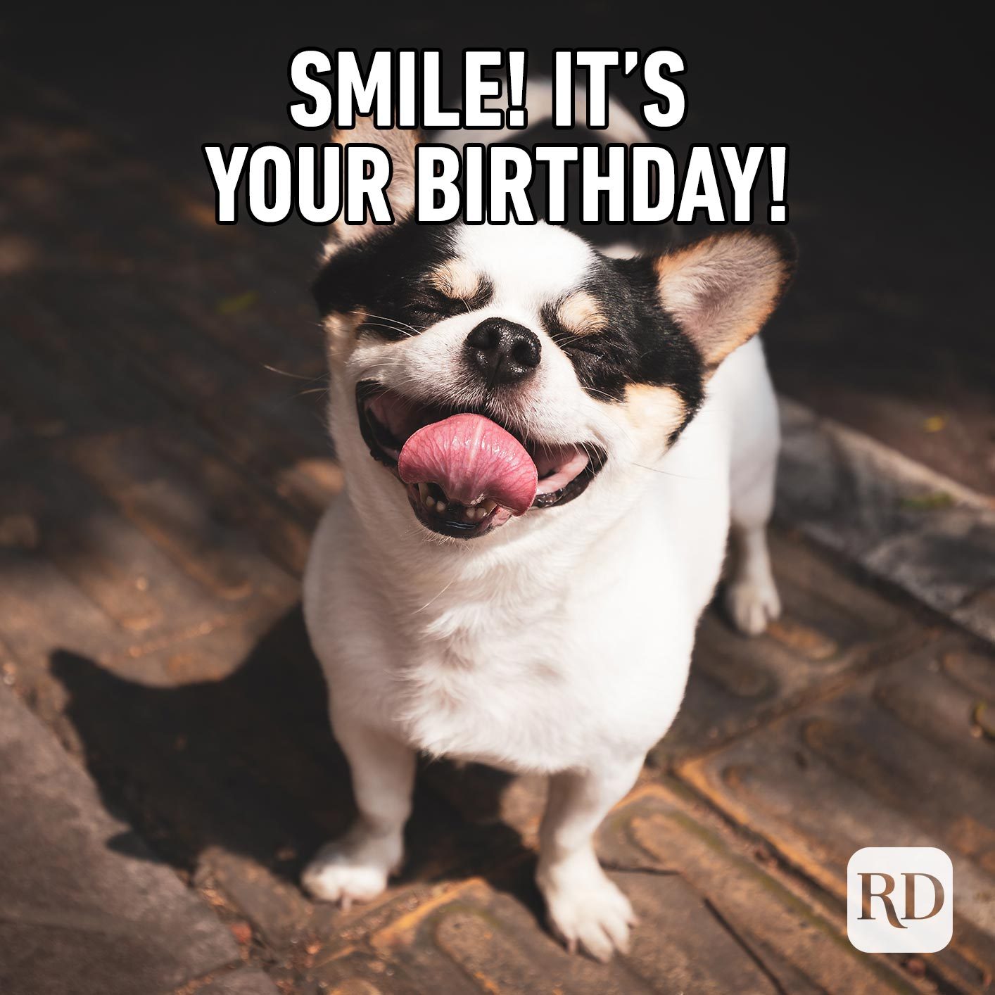 Happy Birthday Images For Her Free Gif Happy Birthday Meme Images ...