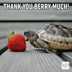 30 Funny Thank-You Memes That Show Your Gratitude