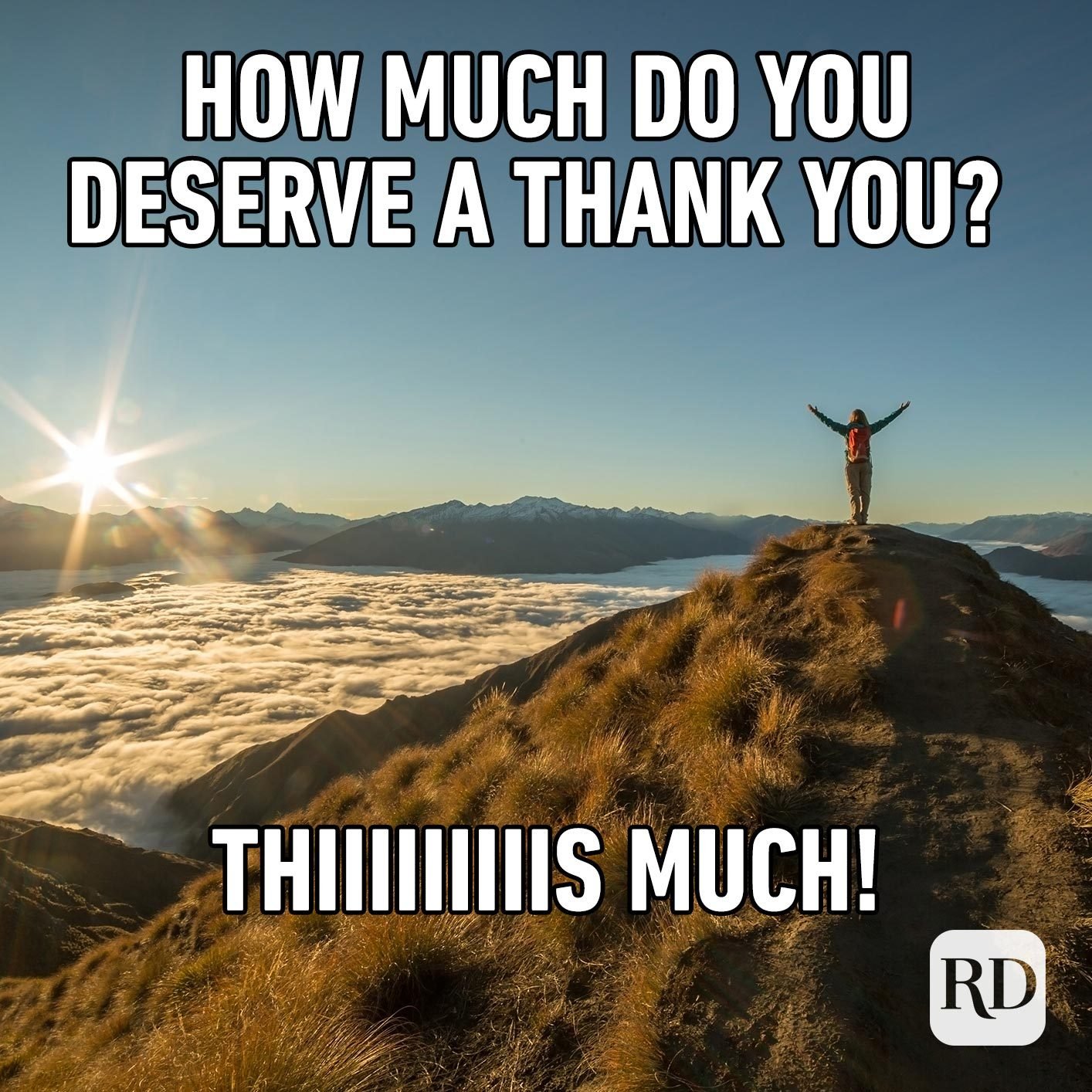 Funny Thank You Meme The Office Funny Memes Mania - vrogue.co