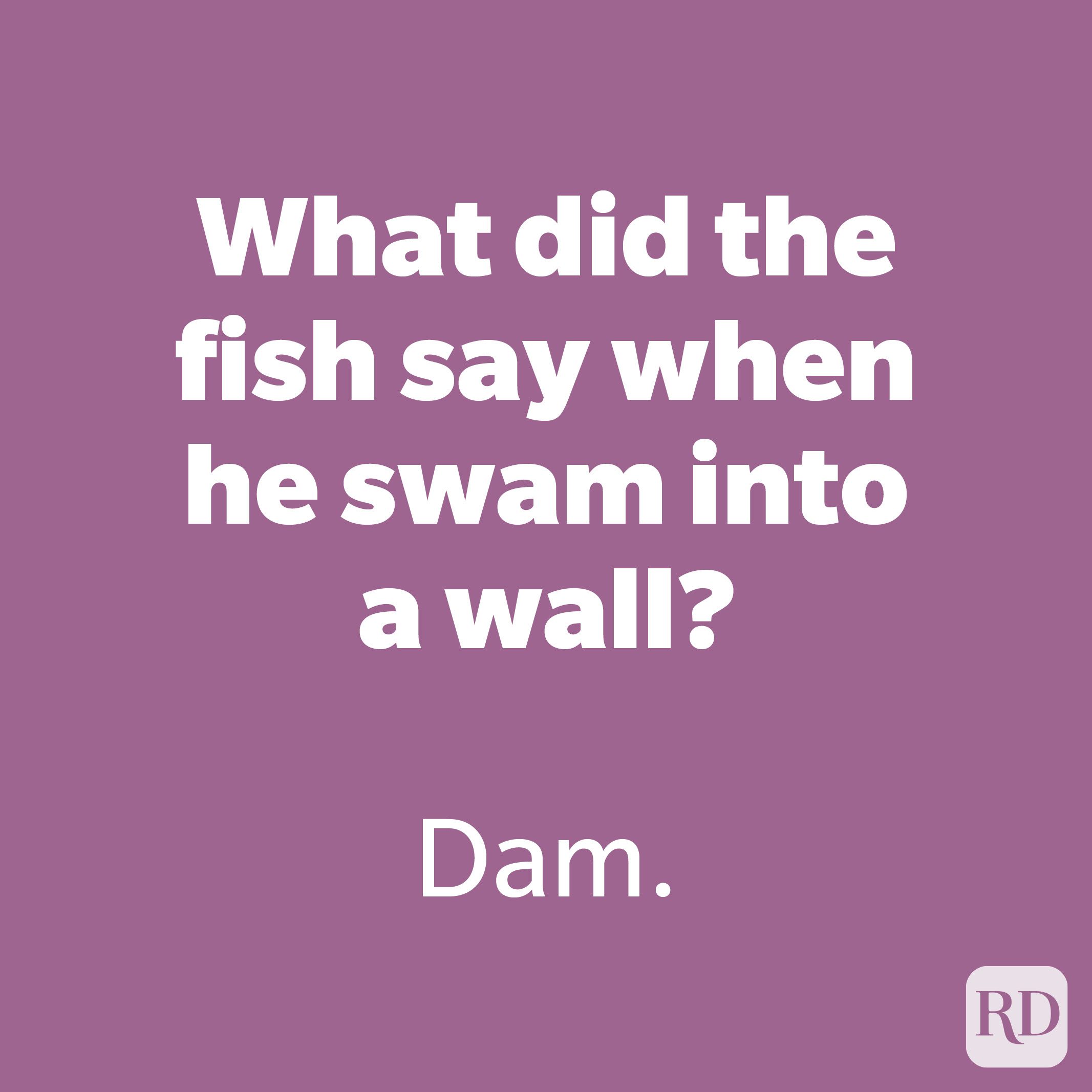 175 Bad Jokes That You Can't But Laugh | Reader's Digest