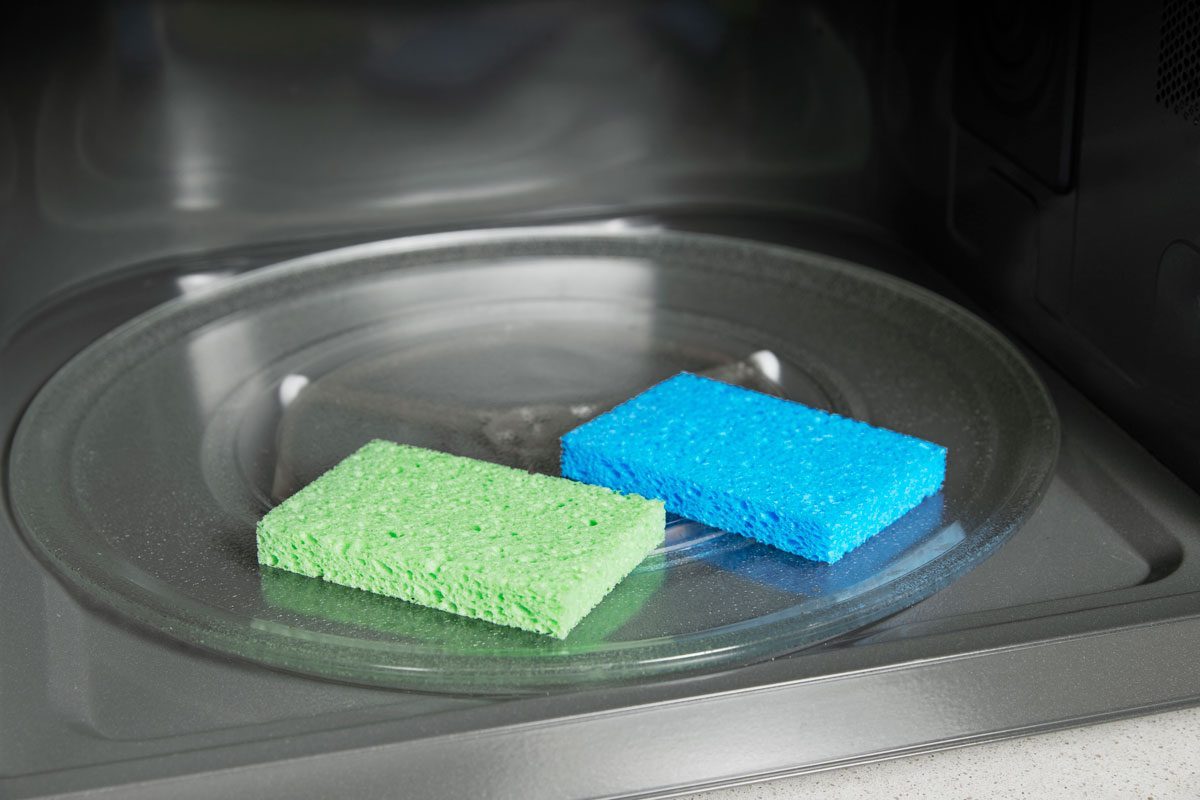 a green and a blue kitchen sponge in a microwave