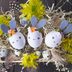 22 Unique Easter Egg Decorating Ideas