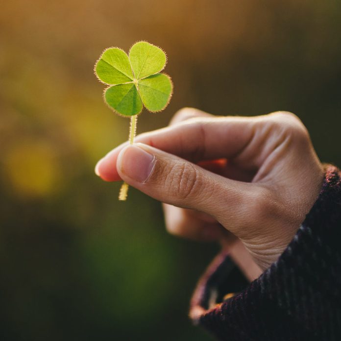 Four Leaf Clover Meaning In English