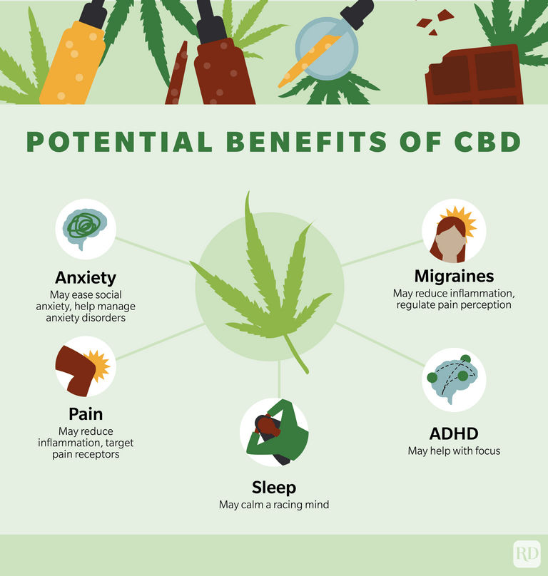 The Ultimate Guide to CBD - Types, Benefits, Recipes, Buying Guide