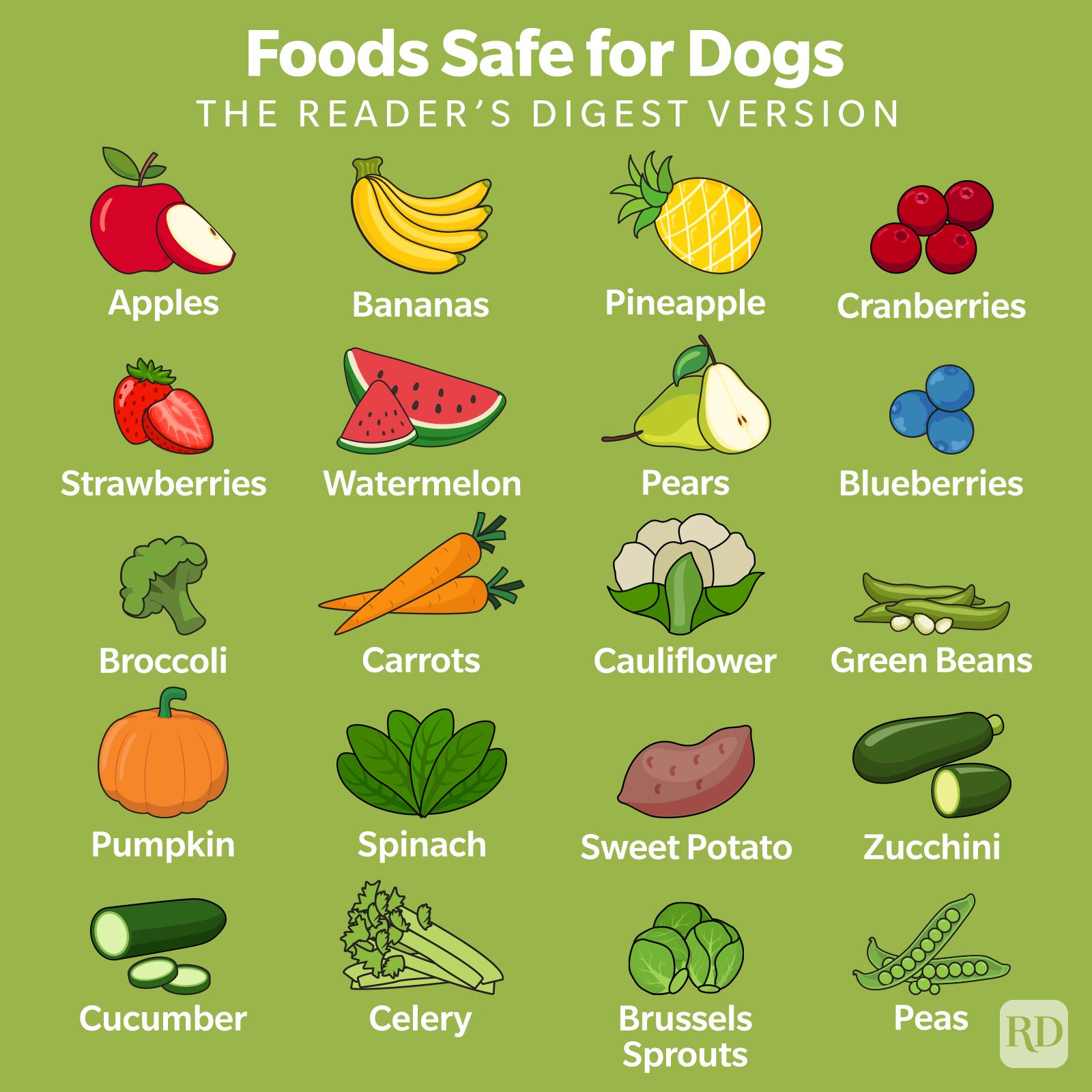 Foods Dogs Can\'t Eat: 12+ Human Foods To Keep Away From Dogs