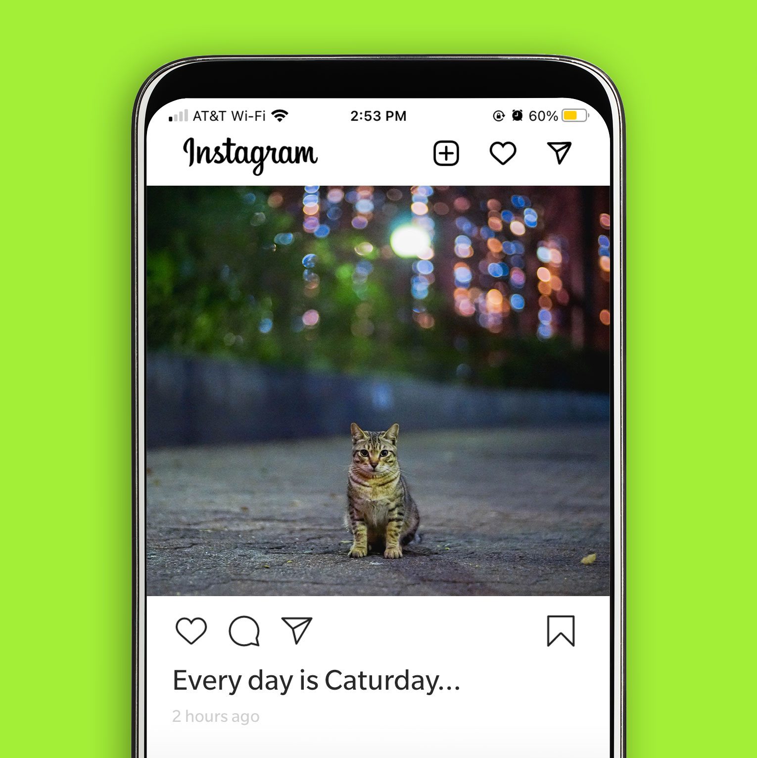 45 Best Cat Instagram Captions for a Purrfect Post | Reader's Digest