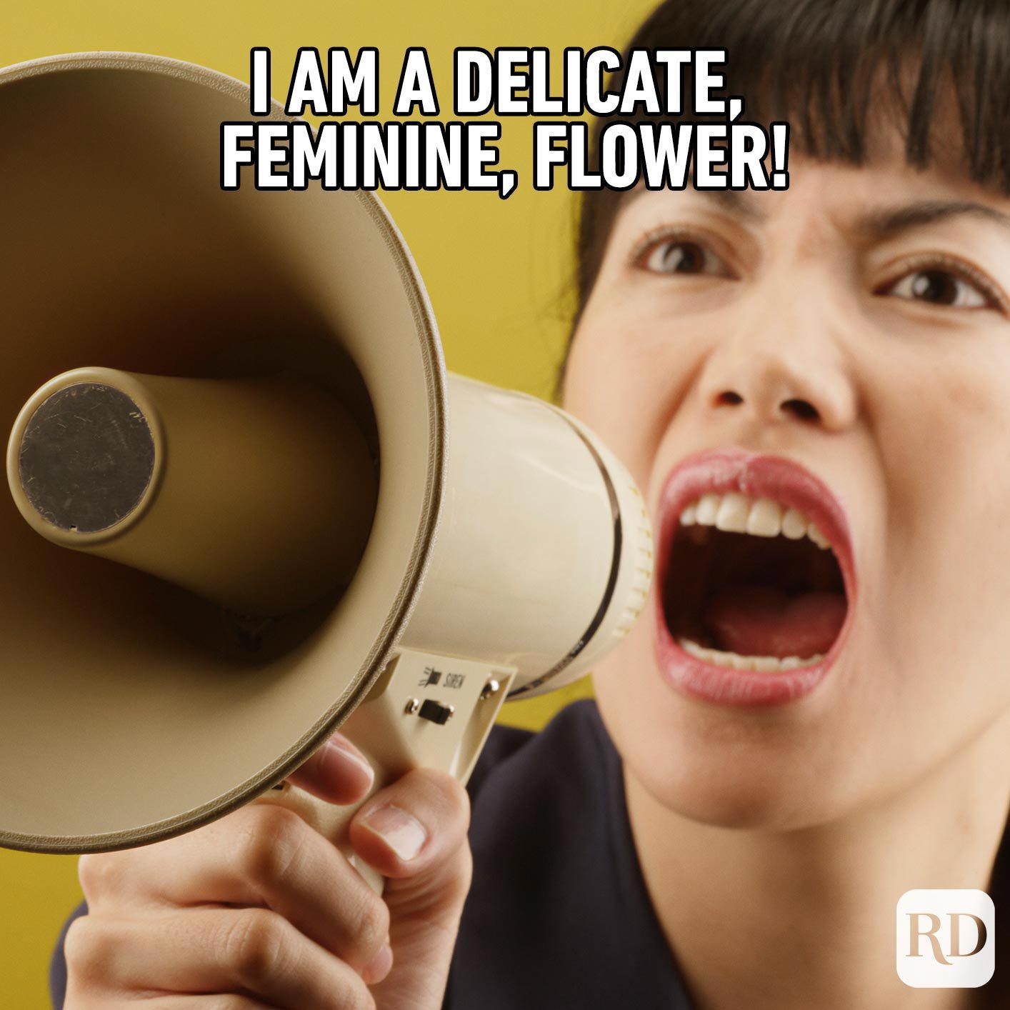14 Of The Best Feminist Memes Reader S Digest