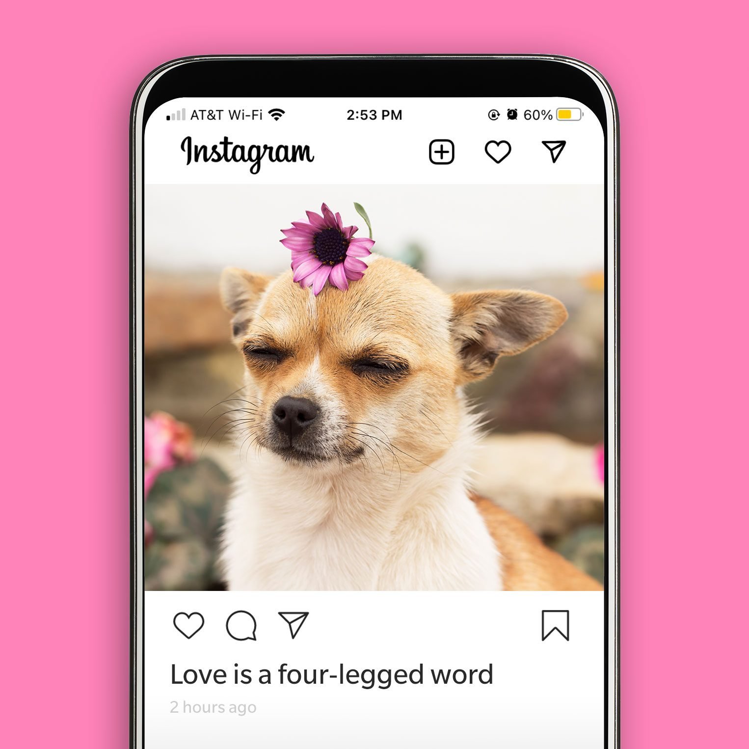 45 Best Dog Instagram Captions Reader s Digest