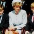 7 Things Prince Harry and Prince William Inherited from Princess Diana