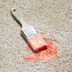How to Get Almost Any Type of Paint Out of Carpet