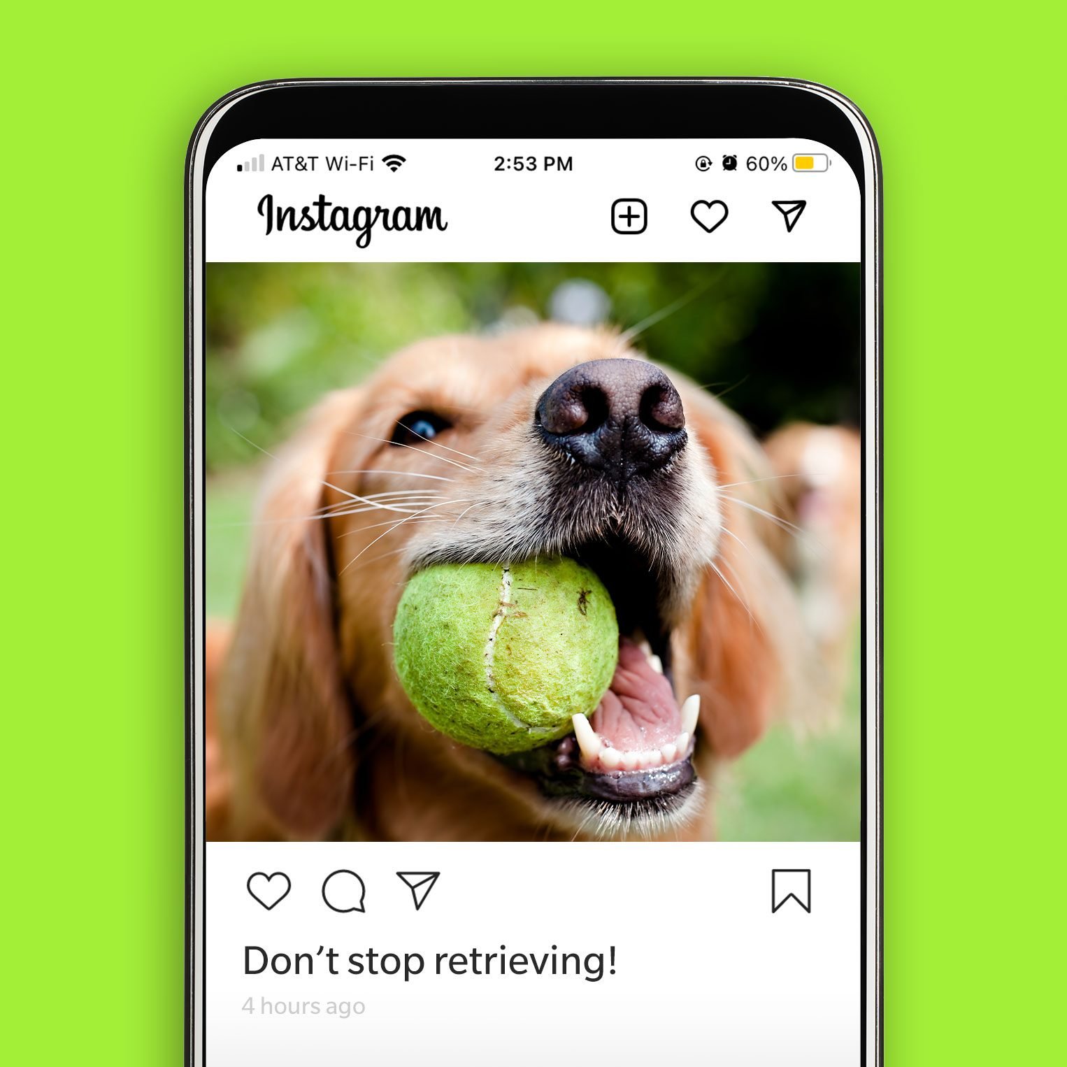 45 Best Dog Instagram Captions Reader s Digest