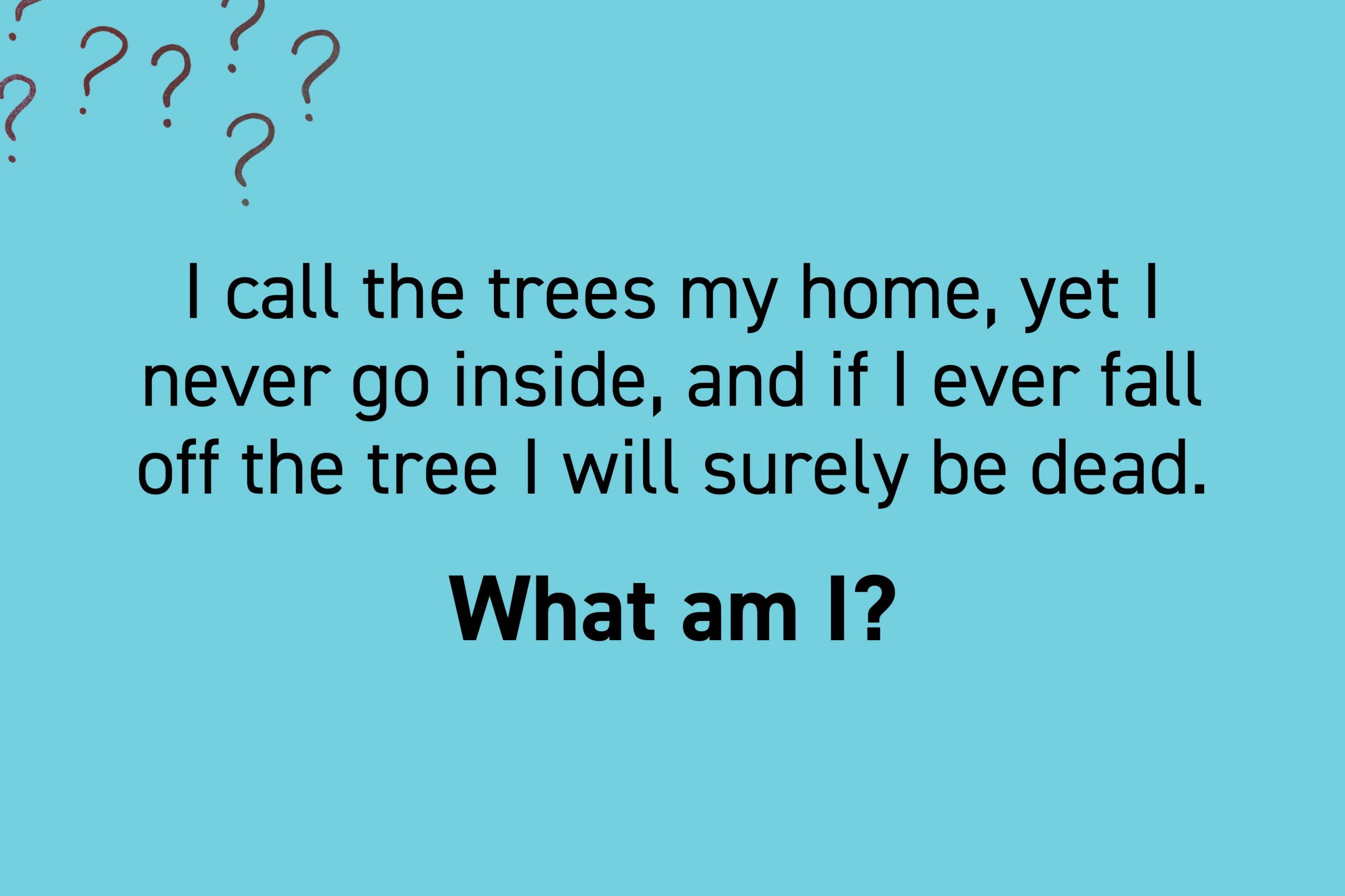 I call the trees my home, yet I never go inside, and if I ever fall off the tree I will surely be dead.