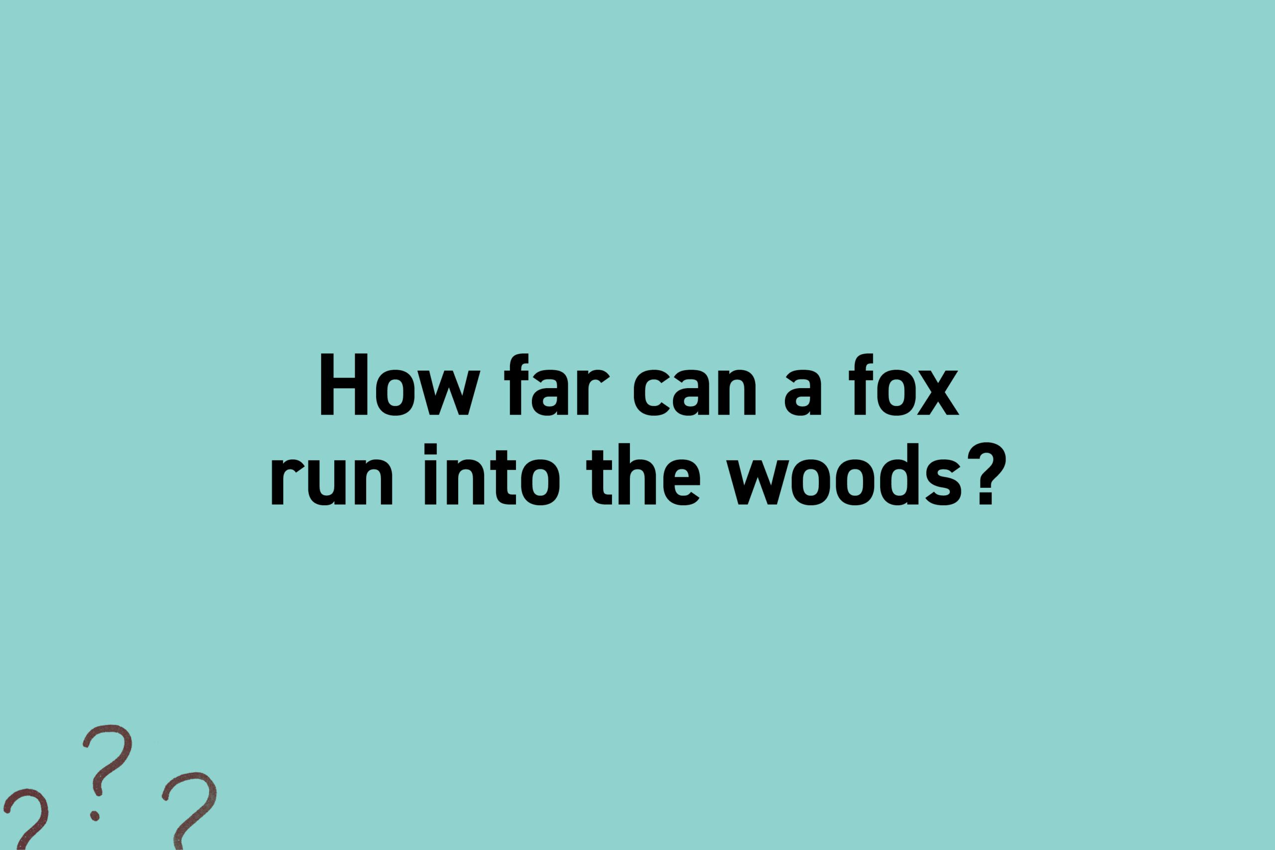 How far can a fox run into the woods?