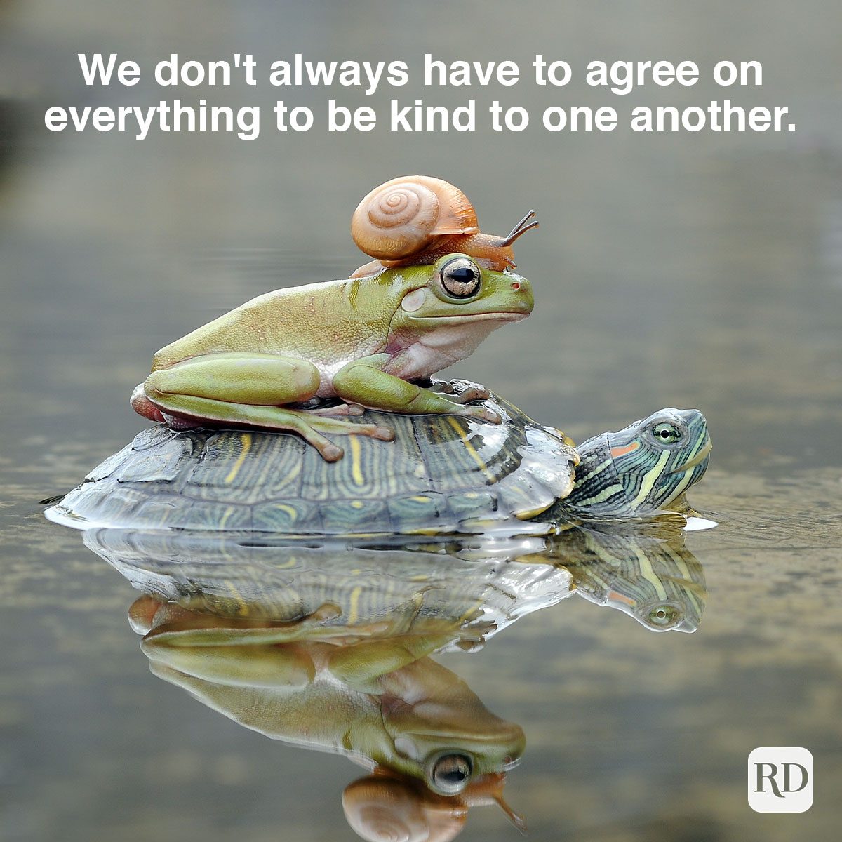 We Don't Always Have To Agree On Everything To Be Kind To One Another