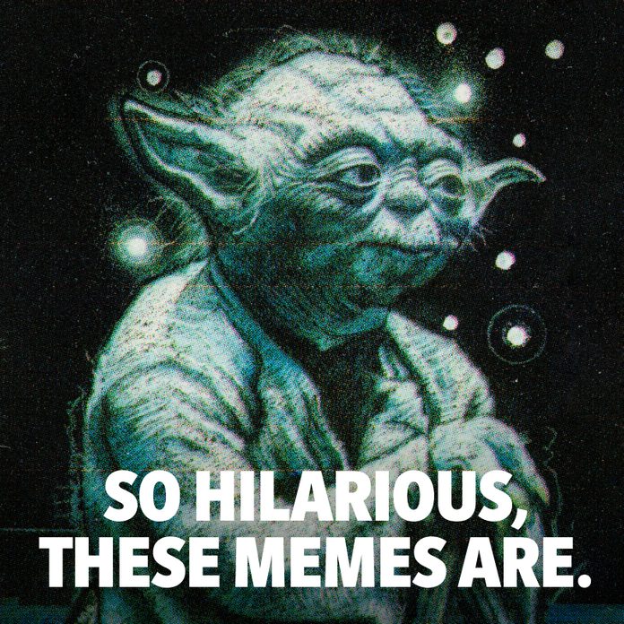 May the 4th Be With You Memes 2021 | Reader's Digest