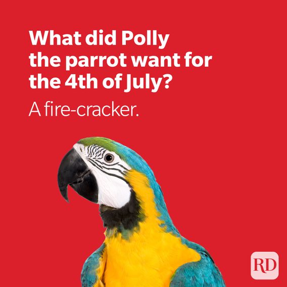 32 Funny 4th of July Jokes Anyone Will Laugh At: Jokes for the 4th of July