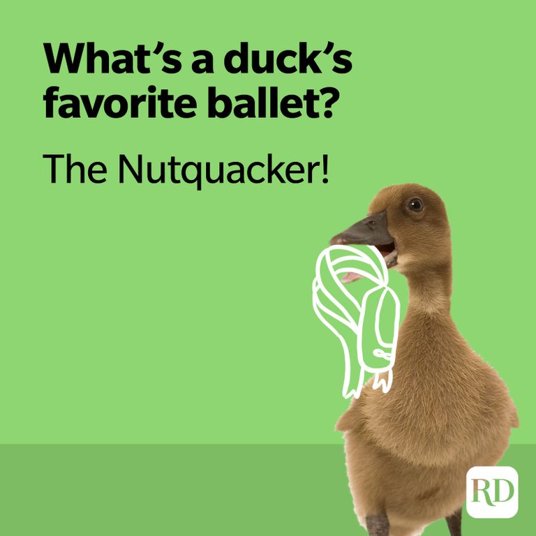 Hilarious Duck Jokes That Fit the Bill | Duck Puns