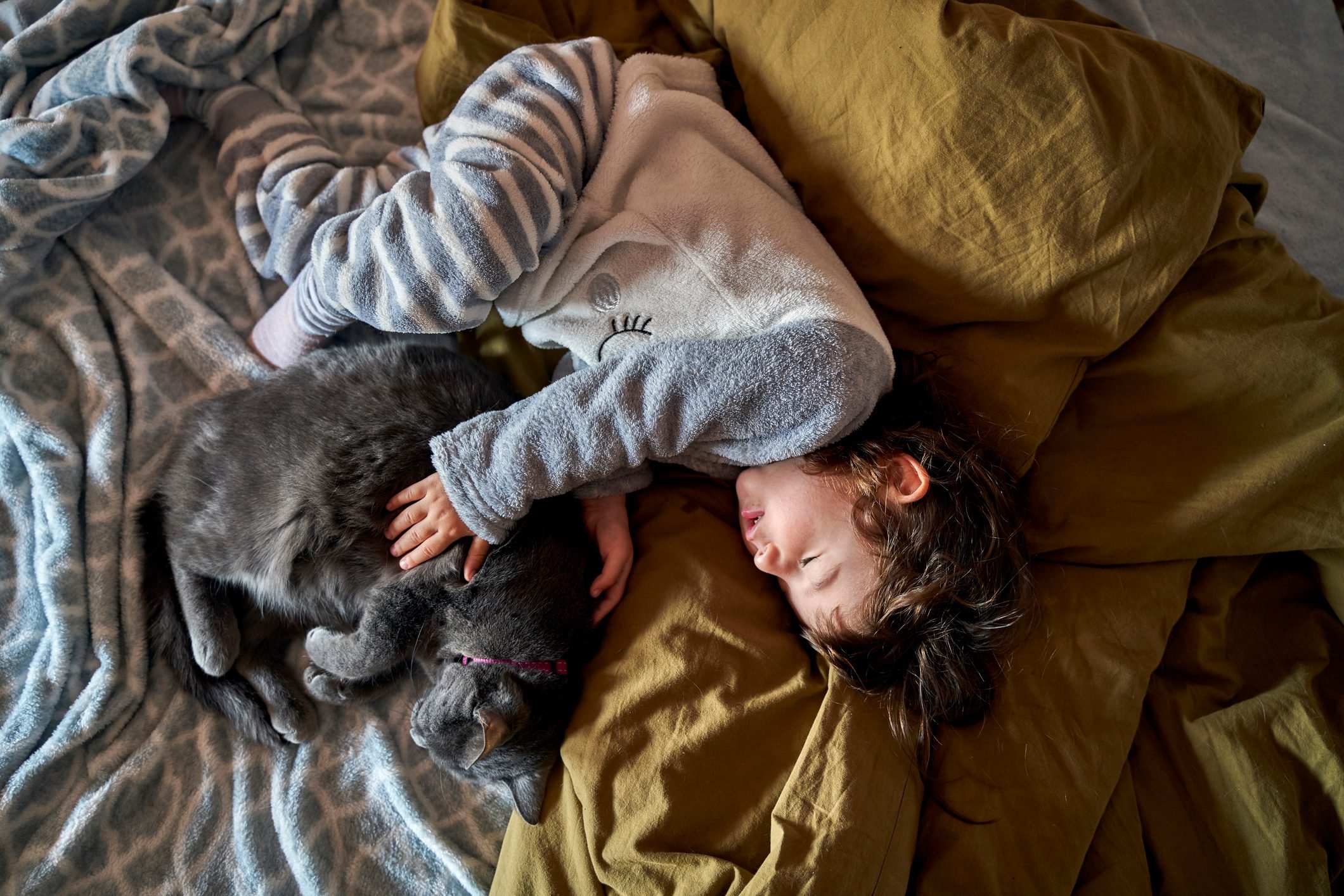 Toddler girl and grey cat sleeping on bed, top view
