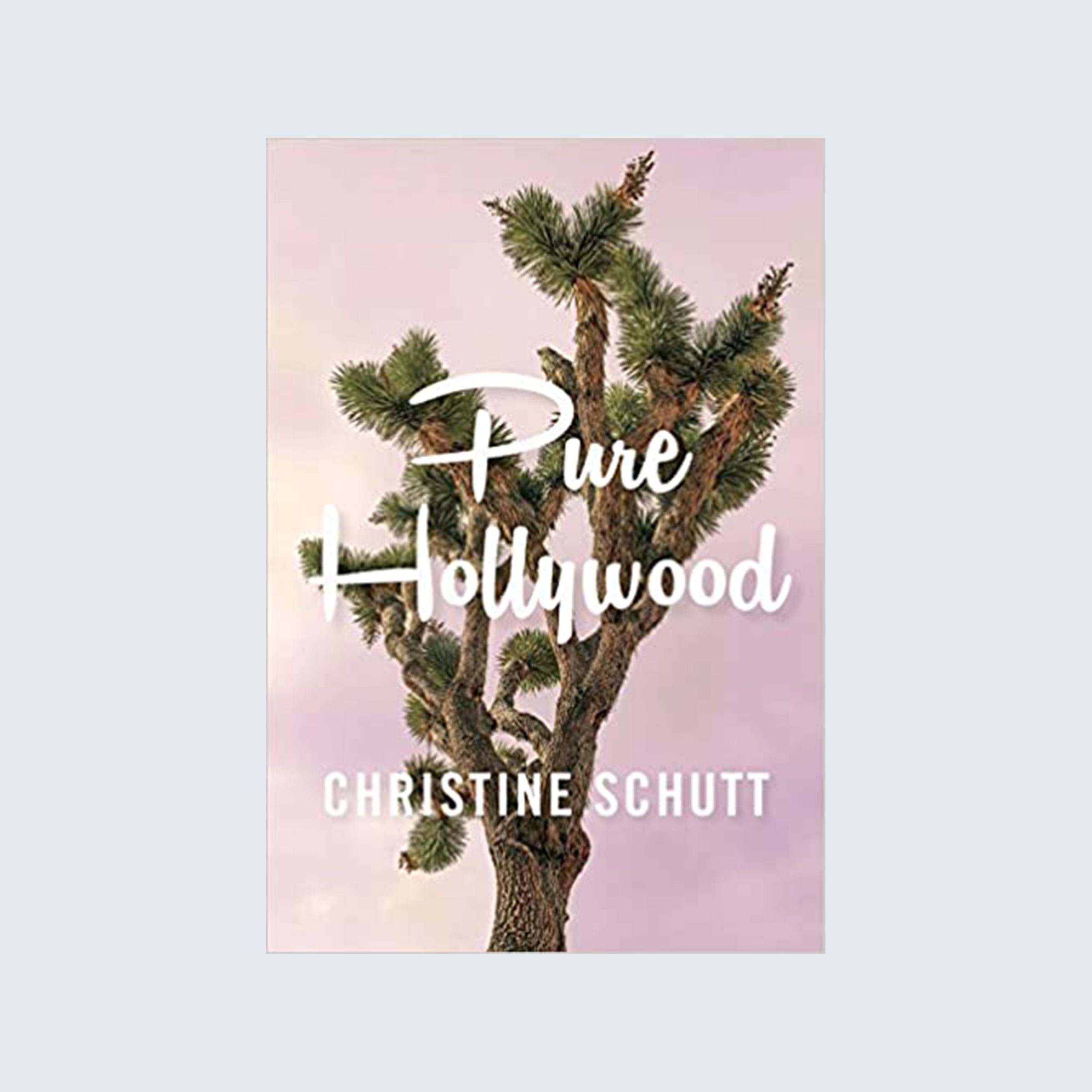 Pure Hollywood and Other Stories by Christine Schutt cover