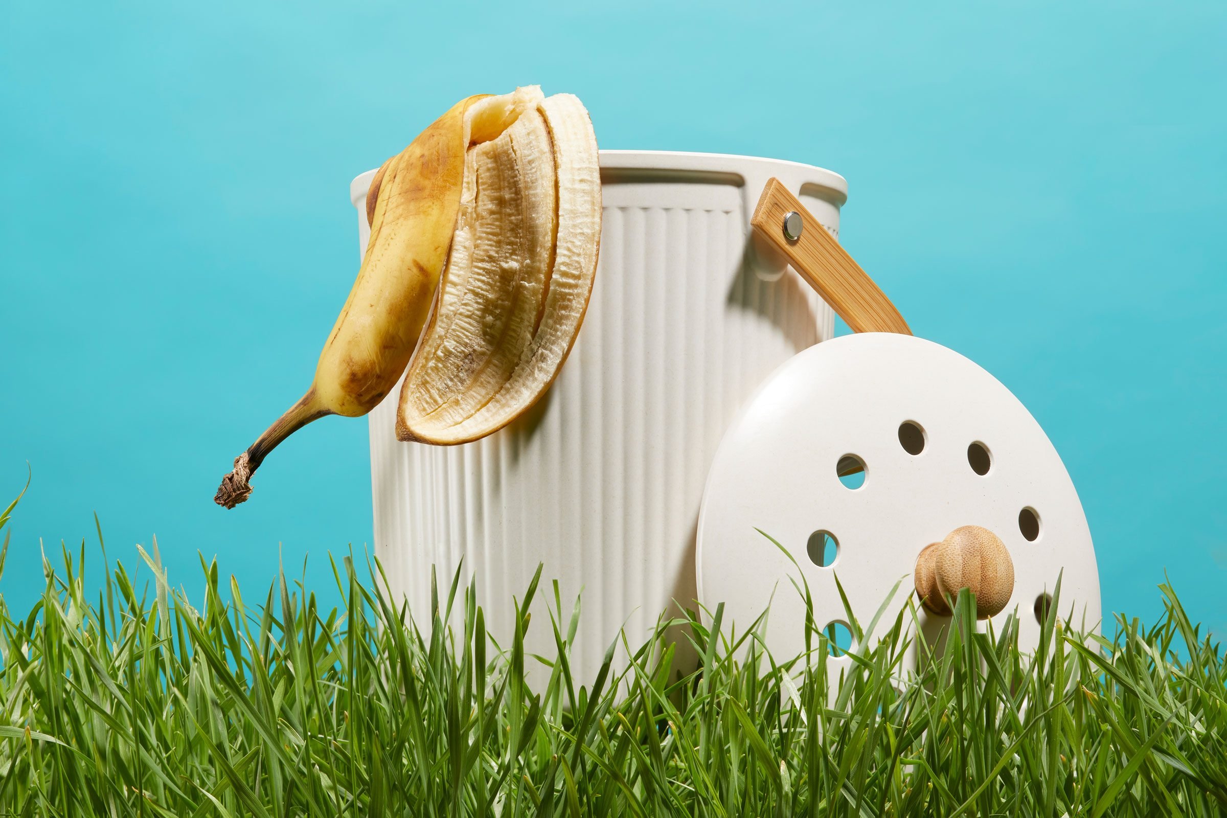 10 Best Compost Bins 2024 - Top Indoor and Outdoor Composters