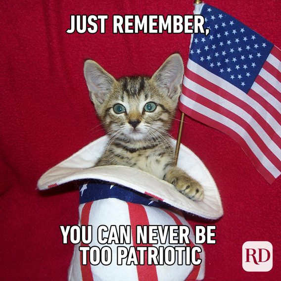 35 Funny 4th of July Memes Worth Sharing Reader's Digest