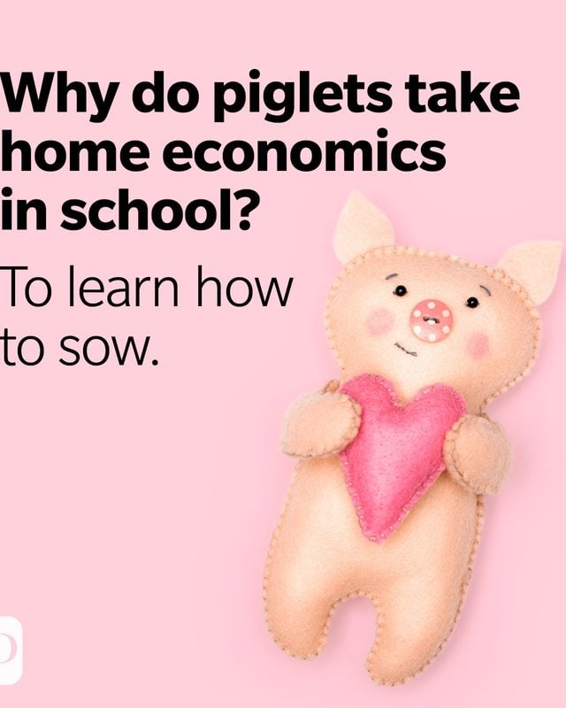 Pig Puns Learn How To Sow