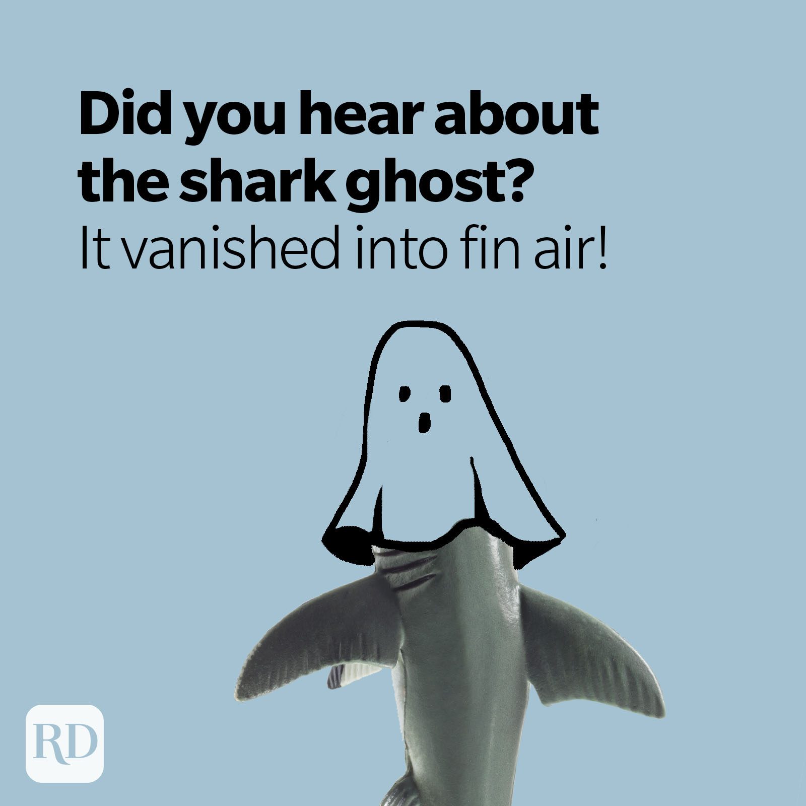 50 Shark Puns That Are Simply Fin Tastic Readers Digest