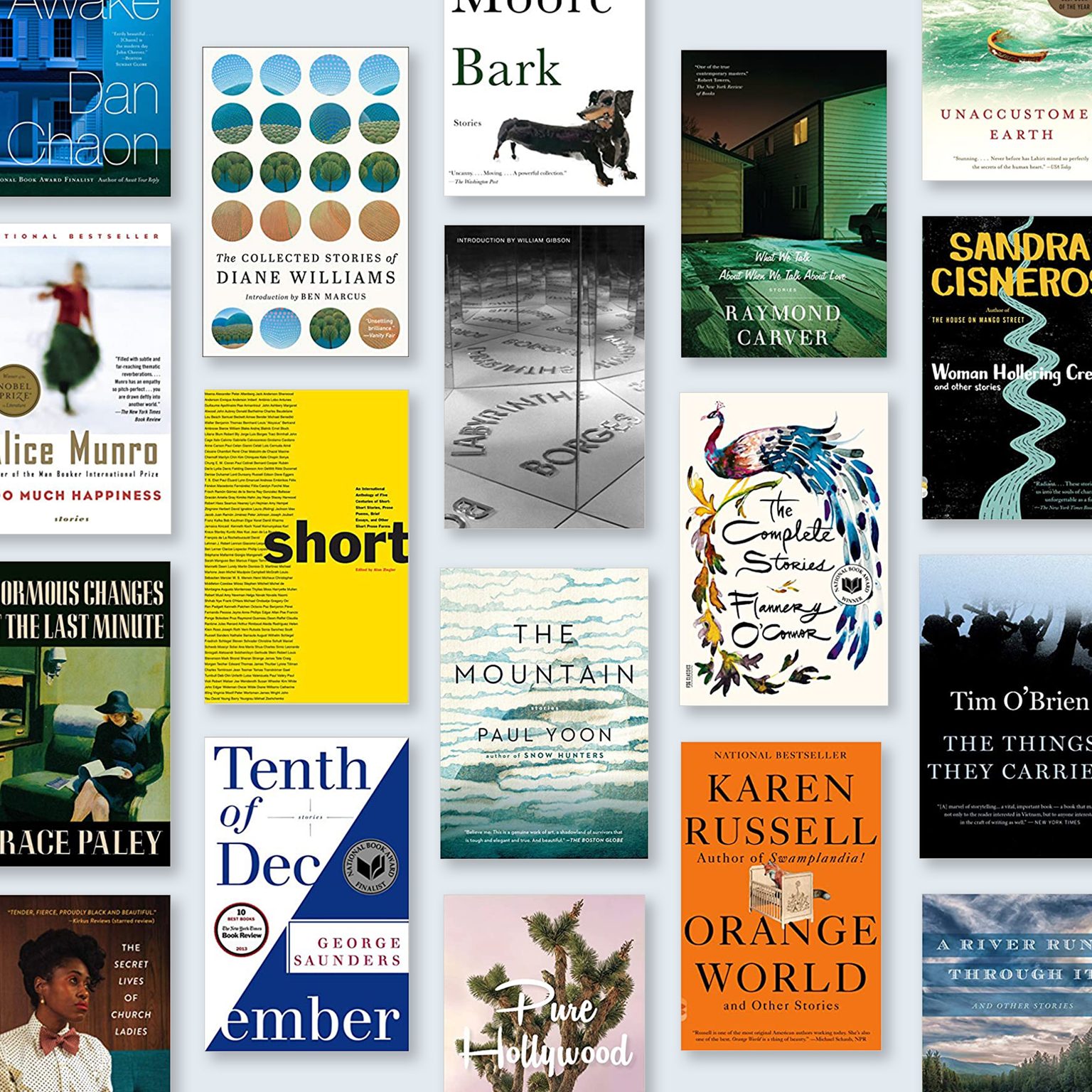25 Best Short Stories and Collections of All Time Classic, Modern Fiction