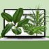 The 18 Best Places to Buy Plants Online