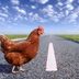 30 of the Funniest "Why Did the Chicken Cross the Road" Jokes