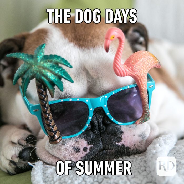 25 Funny Summer Memes We Can All Relate To | Reader's Digest