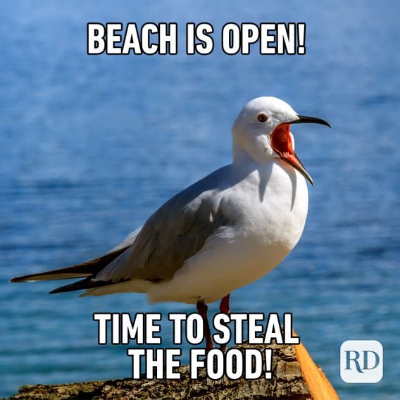 25 Funny Summer Memes We Can All Relate To | Reader's Digest