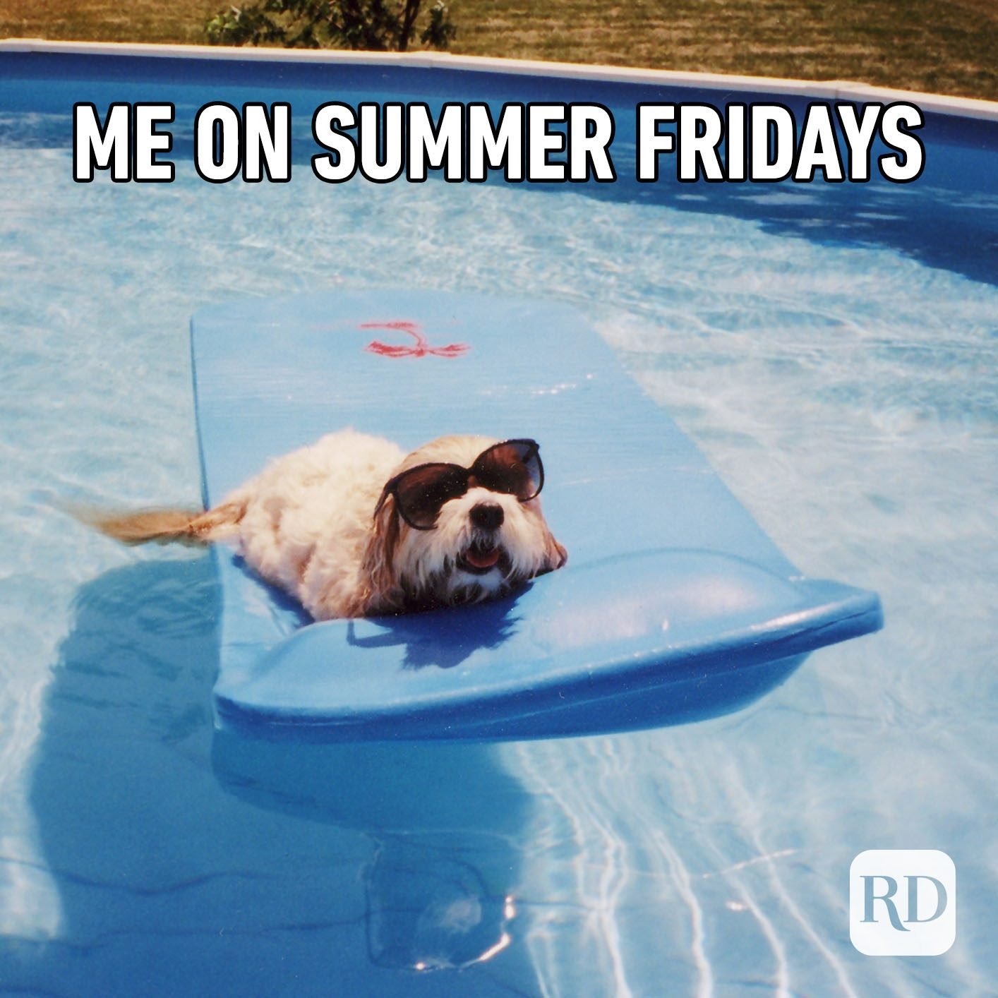 25 Funny Summer Memes We Can All Relate To Reader's Digest