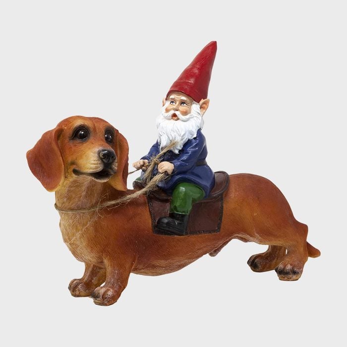 Funny Guy Mugs Gnome And A Dachshund Garden Gnome Statue