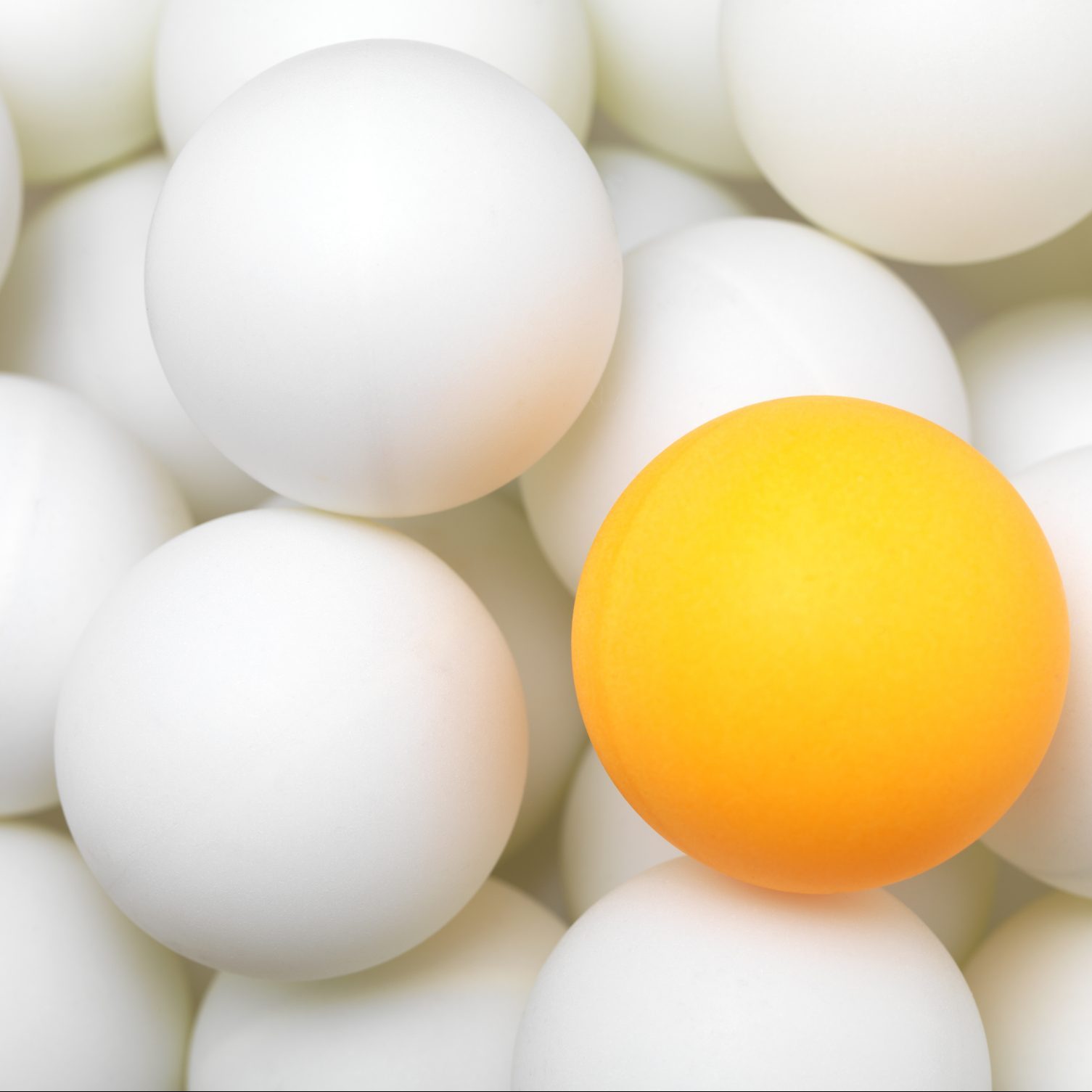 View of white ping balls with an odd yellow ball in it