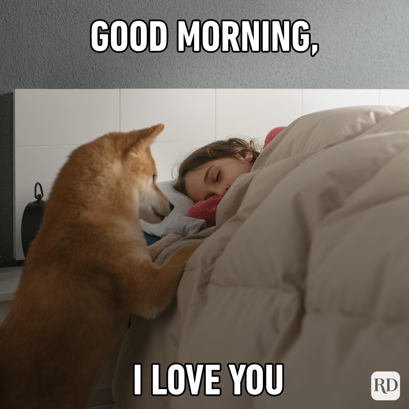 30 Good Morning Memes For A Good Laugh Reader S Digest