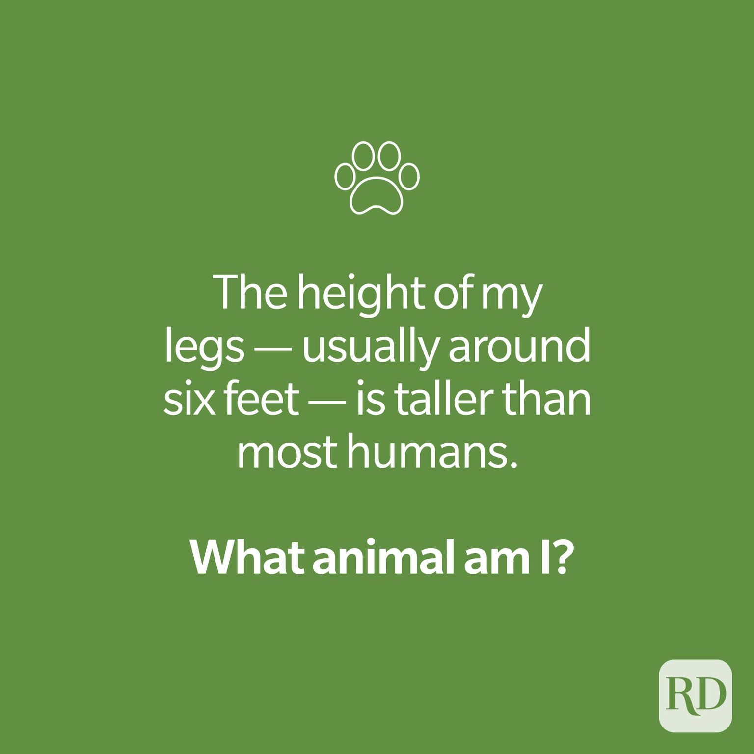 30-animal-riddles-that-are-serious-mind-benders-reader-s-digest