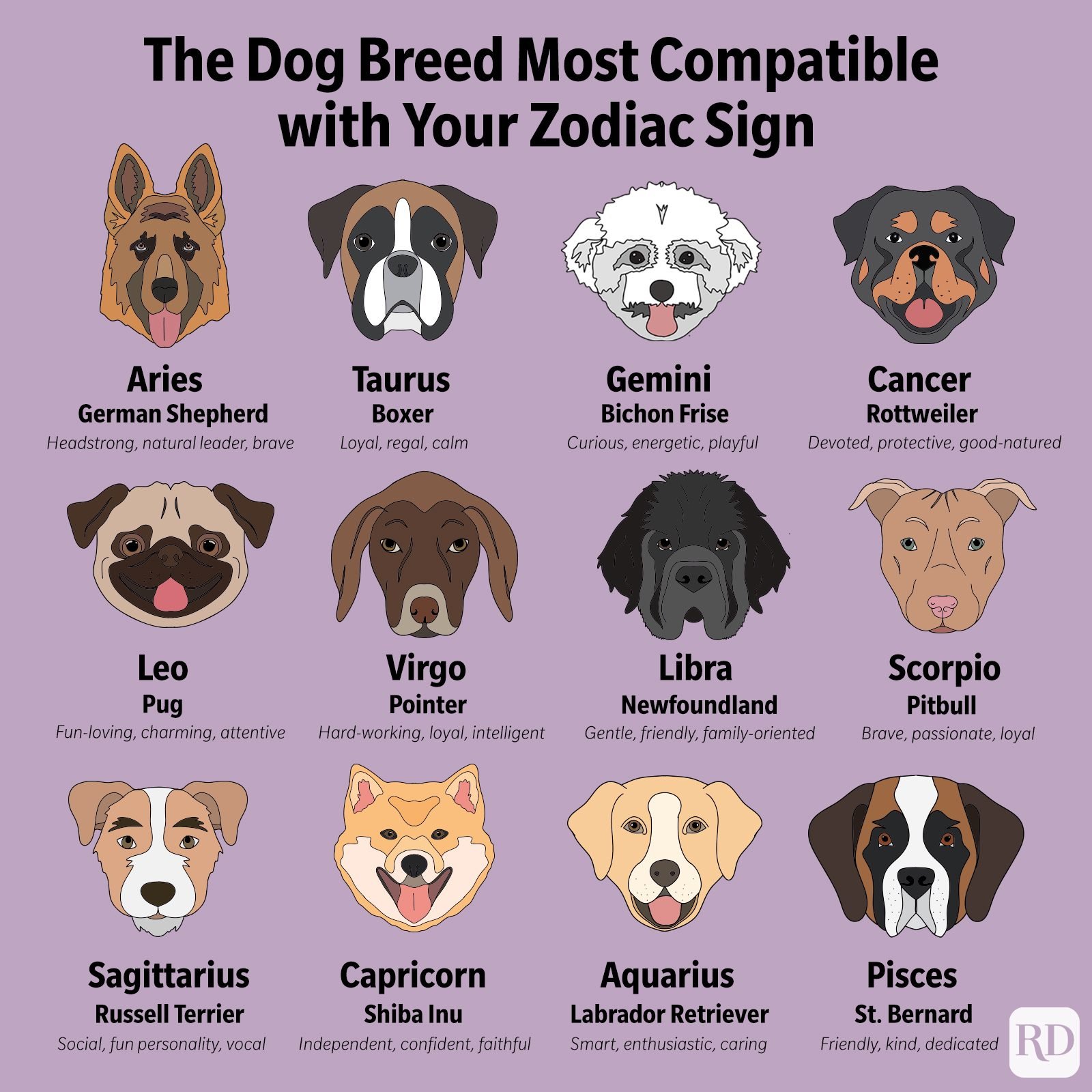 This Is the Dog Breed That's Most Compatible with Your Zodiac Sign