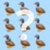 How Many Ducks Do You See? Try to Solve the Viral Riddle