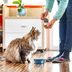 15 Common Foods That Are Toxic to Cats
