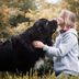 25 Large Dog Breeds That Make Great Pets