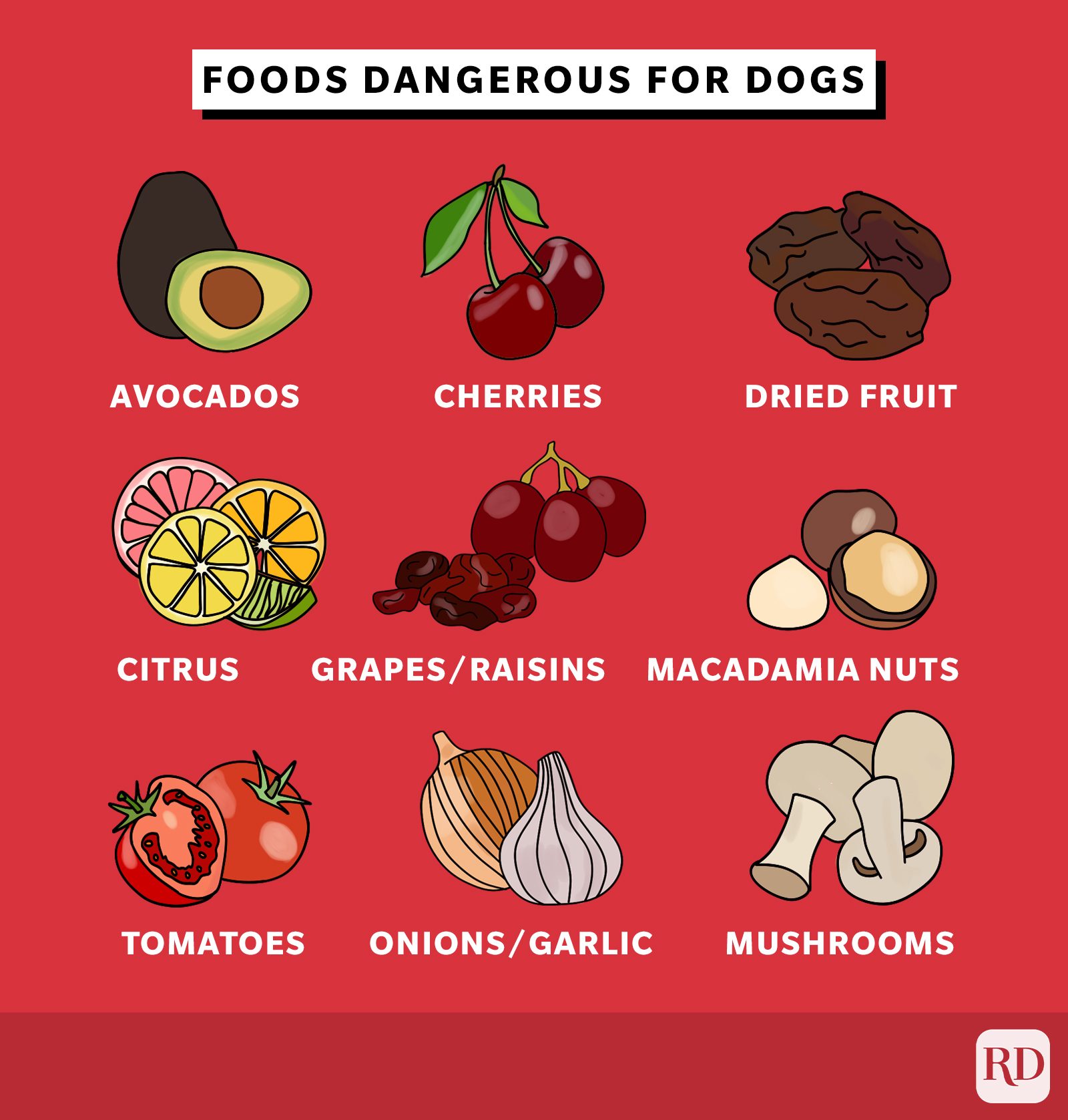 which foods are poisonous to dogs