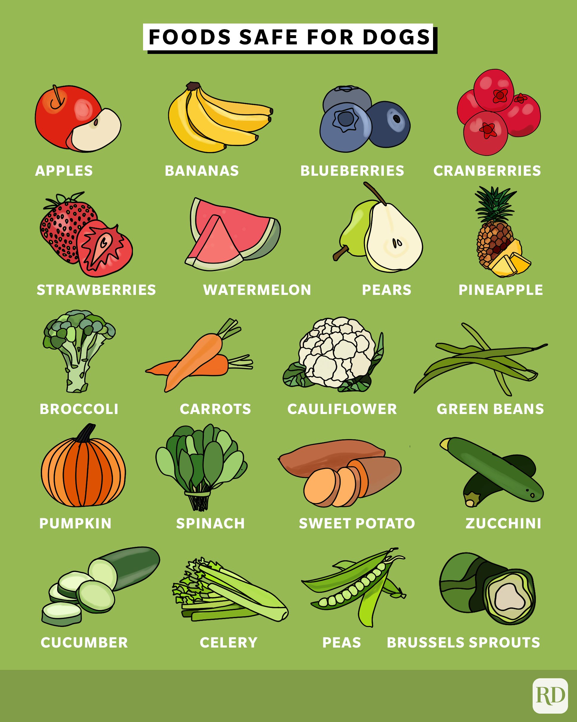 fruits-and-veggies-guide-for-dogs-coolguides