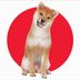 8 Authentic Japanese Dog Breeds and Their Fascinating Histories