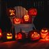 80 Creative Pumpkin Carving Ideas for Halloween