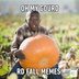 30 Hilarious Fall Memes That Perfectly Sum Up Autumn's Humor