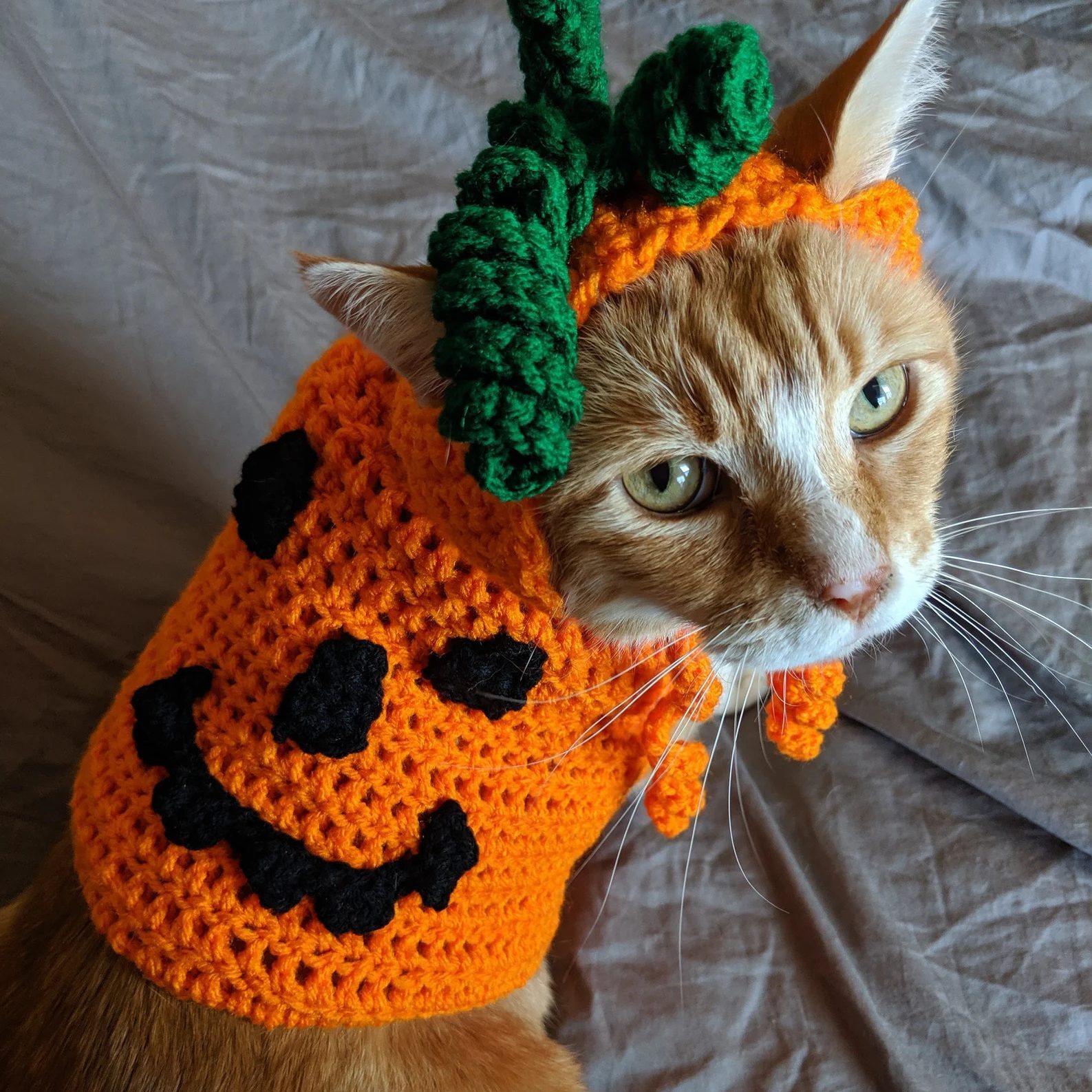 halloween cat costume ideas