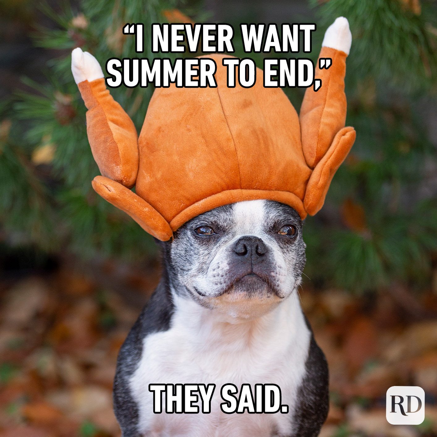 28 Fall Memes All Autumn Lovers Relate To In 2022 Reader S Digest