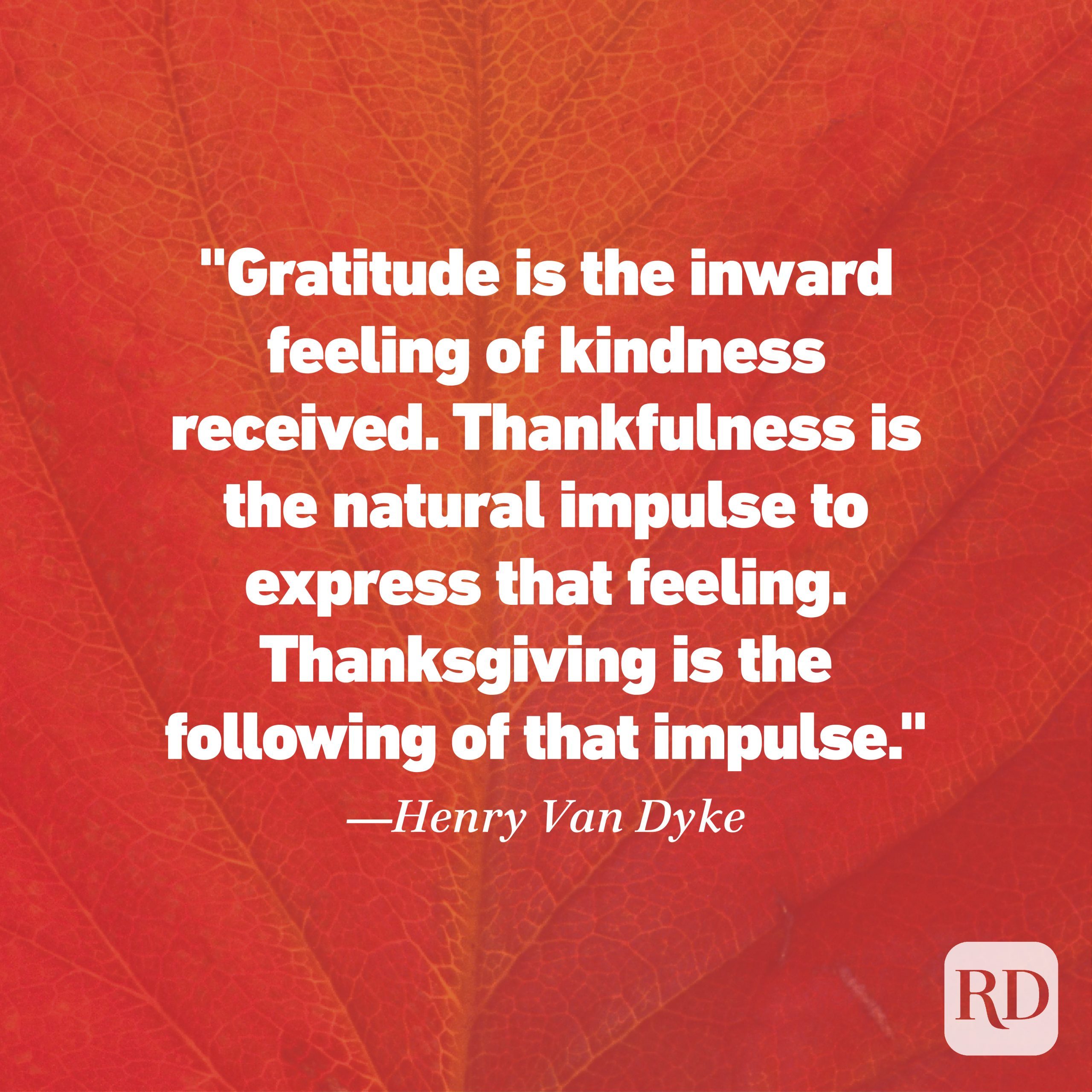 thanksgiving words of wisdom